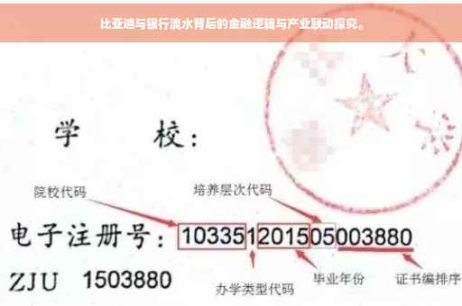 比亚迪与银行流水背后的金融逻辑与产业联动探究。