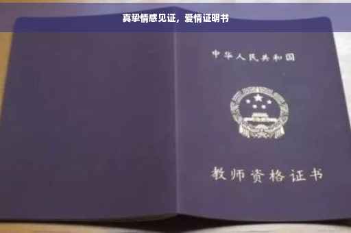 真挚情感见证，爱情证明书