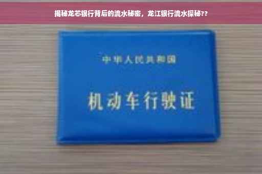 揭秘龙芯银行背后的流水秘密，龙江银行流水探秘??