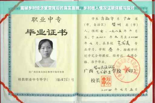 揭秘乡村经济繁荣背后的真实面貌，乡村收入情况证明详解与探讨