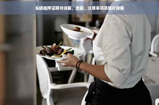 车辆抵押证明书详解，流程、注意事项及图片指南