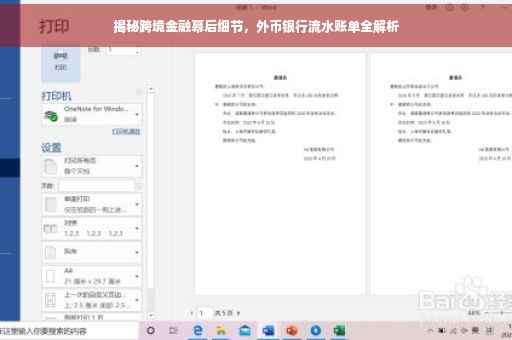 揭秘跨境金融幕后细节，外币银行流水账单全解析