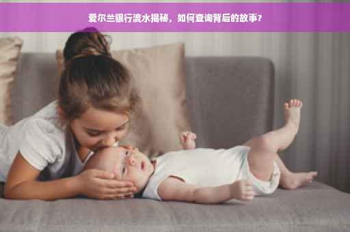 爱尔兰银行流水揭秘，如何查询背后的故事？