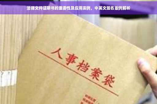 法律文件证明书的重要性及应用实例，中英文签名案例解析
