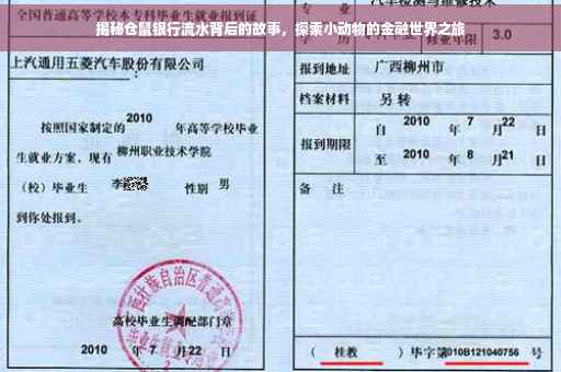 揭秘仓鼠银行流水背后的故事，探索小动物的金融世界之旅