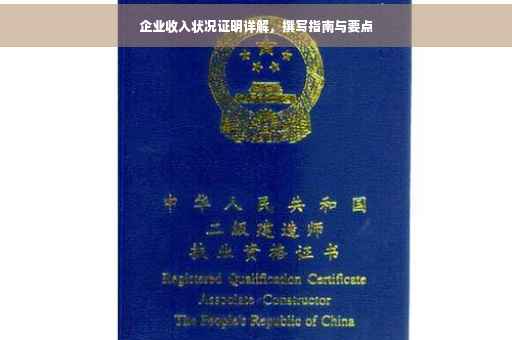 企业收入状况证明详解，撰写指南与要点