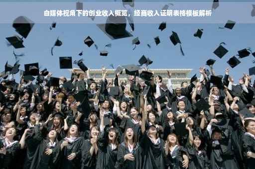 自媒体视角下的创业收入概览，经商收入证明表格模板解析