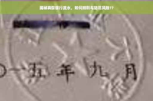 揭秘真假银行流水，如何辨别与防范风险??
