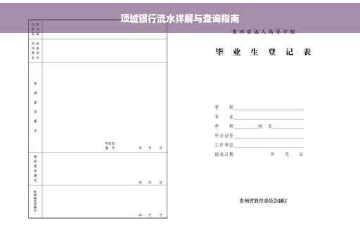 项城银行流水详解与查询指南