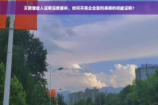 天眼查收入证明深度解析，如何开具企业盈利真相的权威证明？
