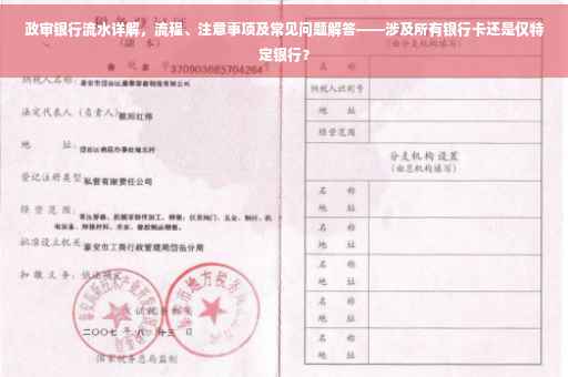 政审银行流水详解，流程、注意事项及常见问题解答——涉及所有银行卡还是仅特定银行？