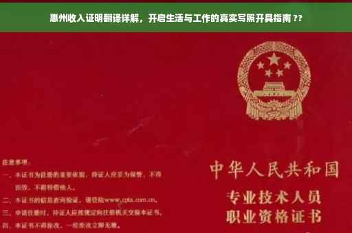 惠州收入证明翻译详解，开启生活与工作的真实写照开具指南 ??