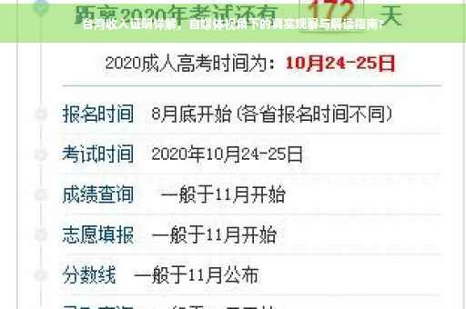 台湾收入证明详解，自媒体视角下的真实观察与解读指南?