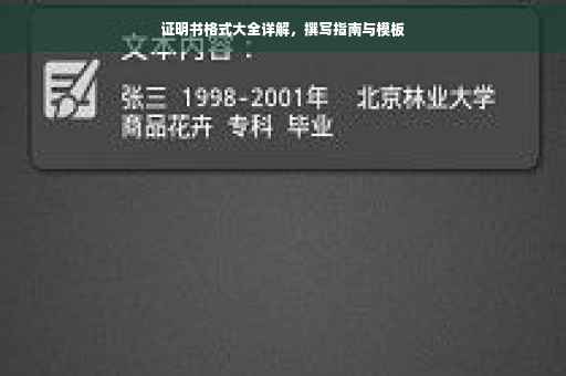 证明书格式大全详解，撰写指南与模板