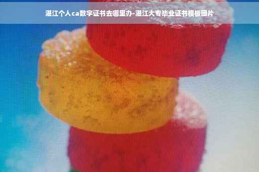 湛江个人ca数字证书去哪里办-湛江大专毕业证书模板图片