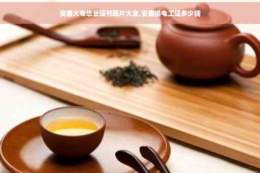安康大专毕业证书图片大全,安康换电工证多少钱