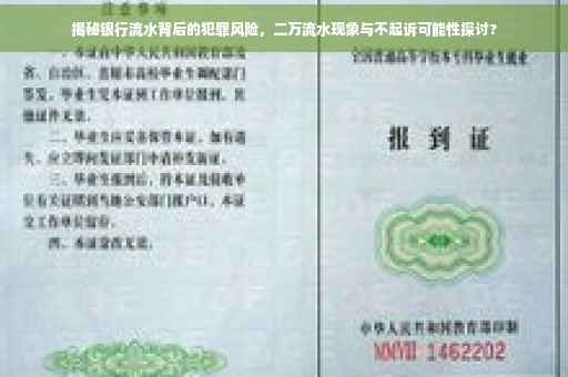 揭秘银行流水背后的犯罪风险，二万流水现象与不起诉可能性探讨?