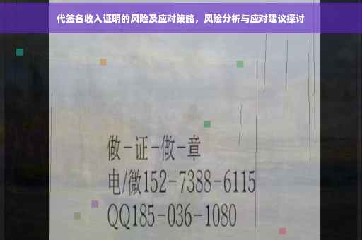 代签名收入证明的风险及应对策略，风险分析与应对建议探讨