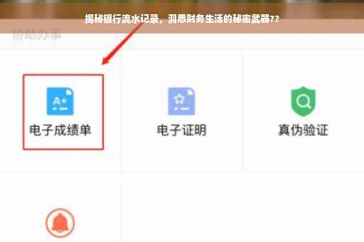 揭秘银行流水记录，洞悉财务生活的秘密武器??