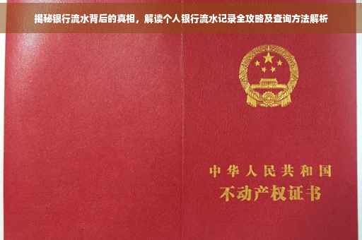 揭秘银行流水背后的真相，解读个人银行流水记录全攻略及查询方法解析