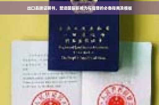 出口品牌证明书，塑造国际影响力与信誉的必备指南及模板