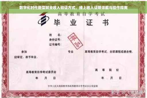 数字化时代新型就业收入验证方式，线上收入证明详解与操作指南