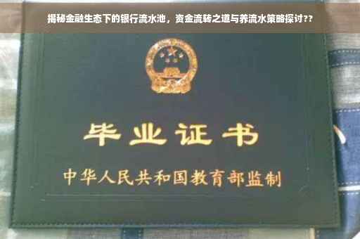 揭秘金融生态下的银行流水池，资金流转之道与养流水策略探讨??