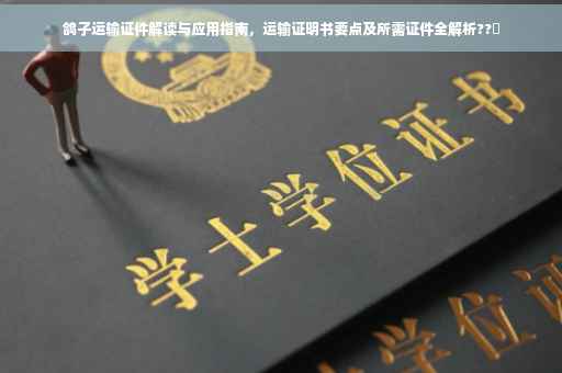 鸽子运输证件解读与应用指南，运输证明书要点及所需证件全解析??️