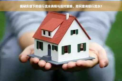 揭秘负债下的银行流水真相与应对策略，如何查询银行流水？