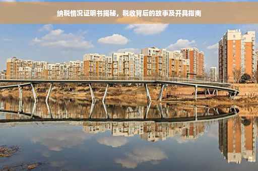 纳税情况证明书揭秘，税收背后的故事及开具指南
