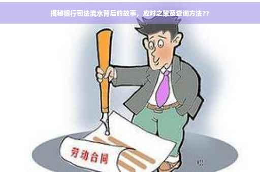 揭秘银行司法流水背后的故事，应对之策及查询方法??