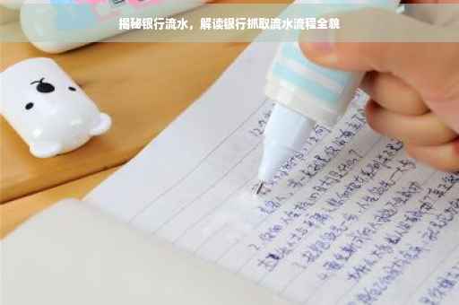 揭秘银行流水，解读银行抓取流水流程全貌