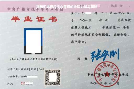 揭秘汇丰银行流水背后的金融力量与奥秘