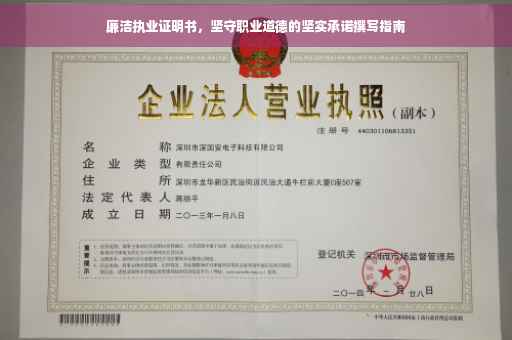 廉洁执业证明书，坚守职业道德的坚实承诺撰写指南