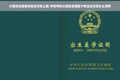 计算机应用有没有证书怎么查,学校考的计算机应用能力考试证书是什么级别