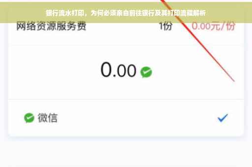 银行流水打印，为何必须亲自前往银行及其打印流程解析