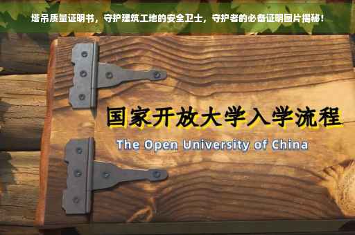 塔吊质量证明书，守护建筑工地的安全卫士，守护者的必备证明图片揭秘！