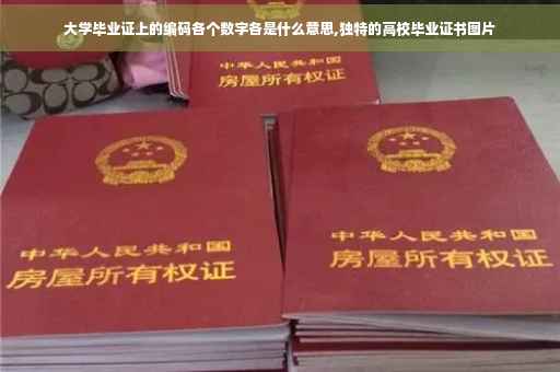 大学毕业证上的编码各个数字各是什么意思,独特的高校毕业证书图片
