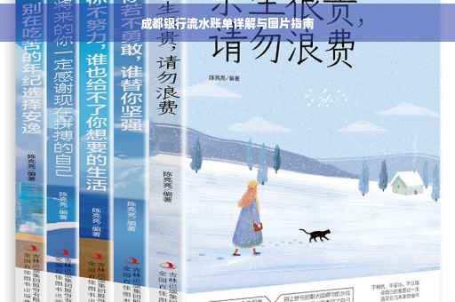 成都银行流水账单详解与图片指南