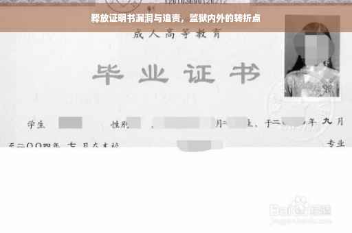 释放证明书漏洞与追责，监狱内外的转折点