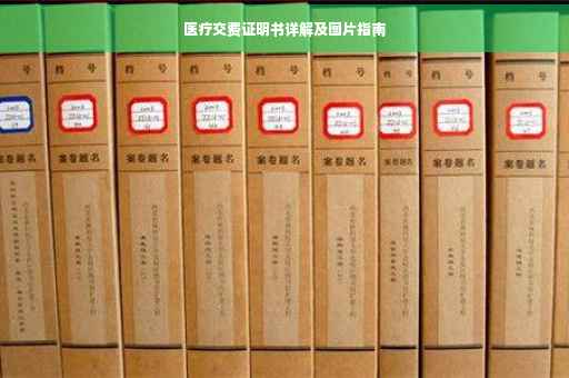 医疗交费证明书详解及图片指南