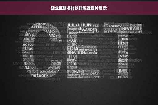肄业证明书样张详解及图片展示