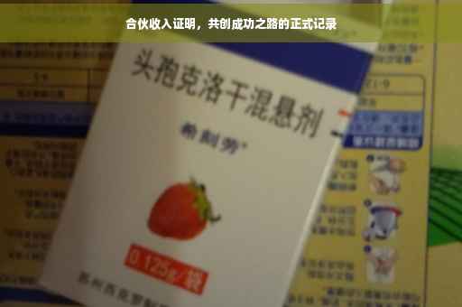 合伙收入证明，共创成功之路的正式记录
