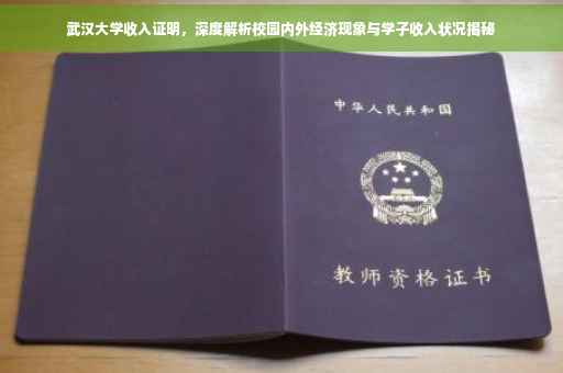 武汉大学收入证明，深度解析校园内外经济现象与学子收入状况揭秘