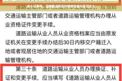 伤心证明书，深度解读背后的情感故事与歌词含义