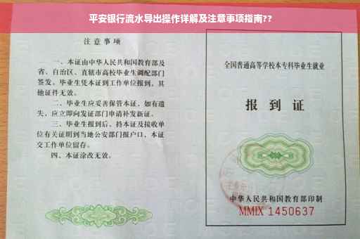 平安银行流水导出操作详解及注意事项指南??