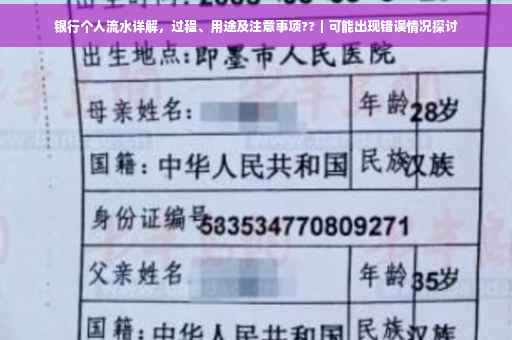 银行个人流水详解，过程、用途及注意事项??｜可能出现错误情况探讨