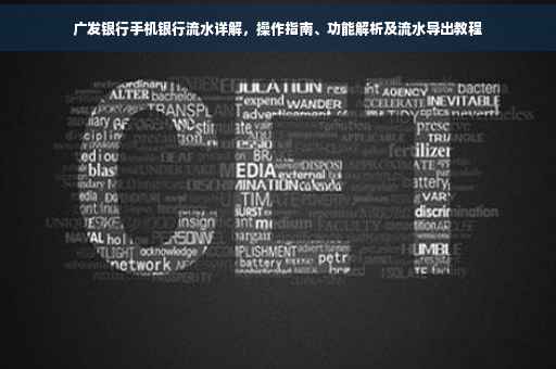 广发银行手机银行流水详解，操作指南、功能解析及流水导出教程