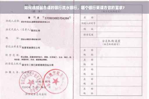 如何选择最合适的银行流水银行，哪个银行更适合你的需求？