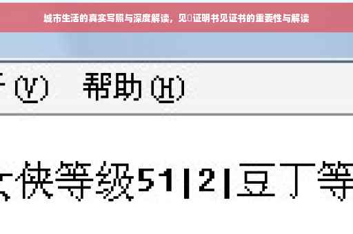 城市生活的真实写照与深度解读，见込证明书见证书的重要性与解读
